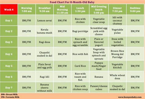 Know here indian food chart recipes for 6 and 7 months baby: Which food can be given for 8 months + baby , a sample ...