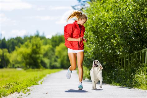 Dog Fitness Qual é A Melhor Atividade Para Seu Cão