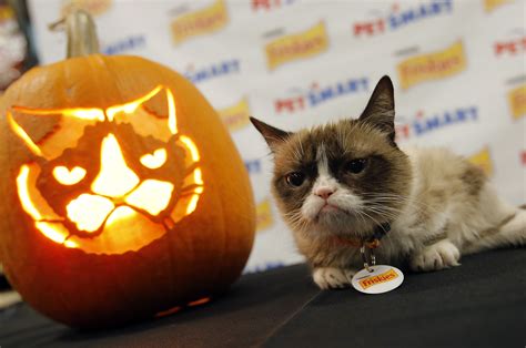 Images Of Halloween Cats