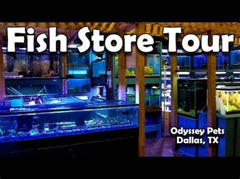 Find your new best friend below—or adopt at a petco store. AMAZING Fish Store and Tour in Dallas Texas that Sells ...
