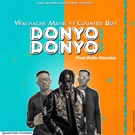 Audio Wachache Music Ft Country Boy Donyo Donyo Download Dj Mwanga