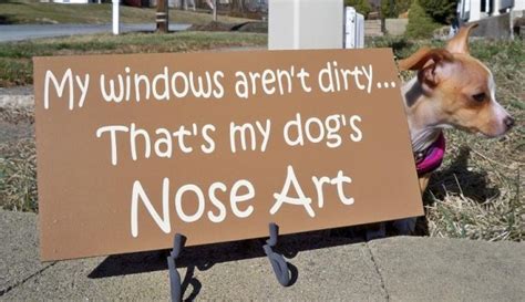 Dog Nose Quotes Quotesgram