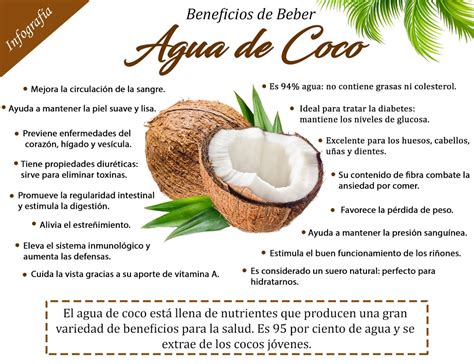Propiedades Valores Nutricionales Y Recetas Con Agua De Coco