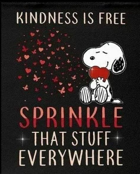 Pin By Kerry Kocher On Charlie Brown Snoopy Quotes Snoopy Funny