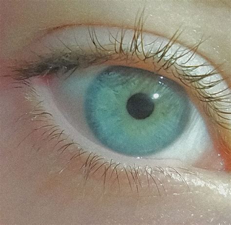 Blue Eyes Aesthetic Rosé Aesthetic Character Aesthetic Teal Eyes Turquoise Eyes Blue Green