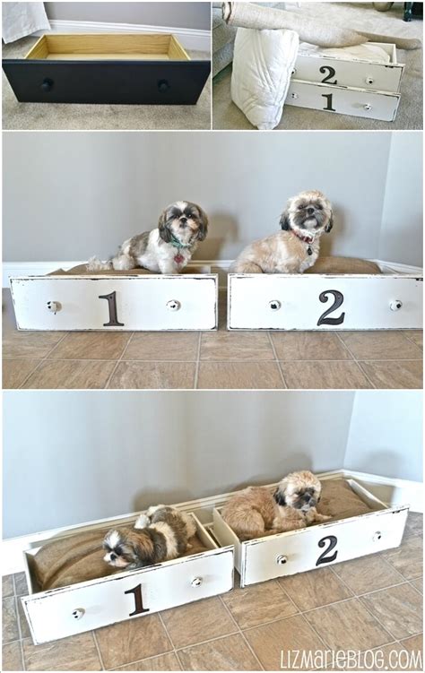 10 Cool Diy Pet Projects For Your Furry Friends