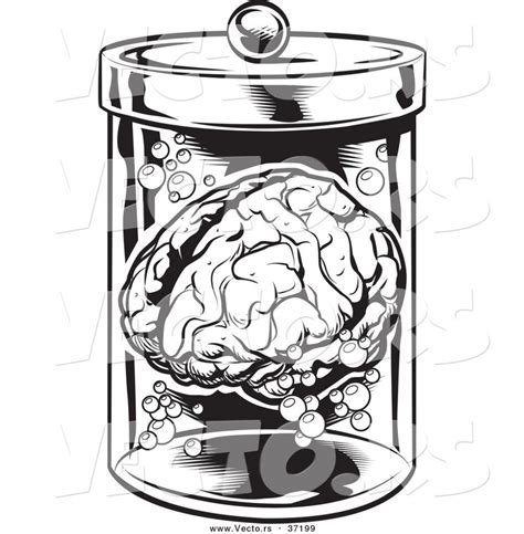 Brain In A Jar Mind Development And Design Llc