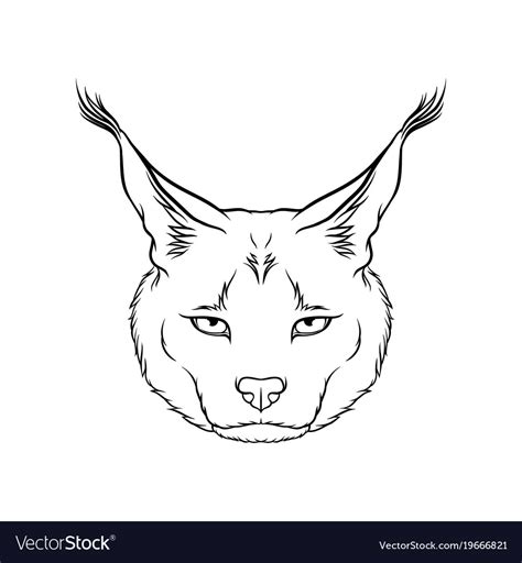 Sketch Of Caracals Head Portrait Of Steppe Lynx Vector Image