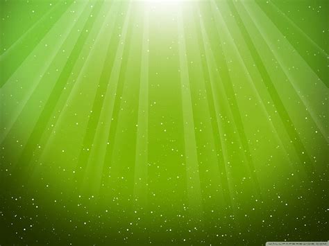 Lime Green And White Background Hd Wallpaper Pxfuel