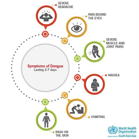 End The Fight Be Dengue Aware Pahowho Pan American Health