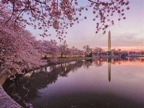 6 Of Americas Most Beautiful Places To Visit In The Spring Scott