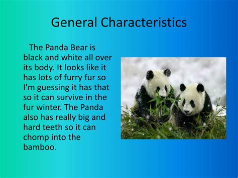 PPT - Endangered Animal The Panda Bear PowerPoint Presentation, free