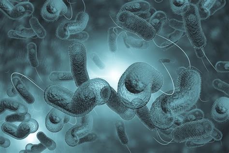 Assuming the fda issues an emergency use authorization wrote.the fda analysis also offered a breakdown of the efficacy of the vaccine in brazil and south africa, where more contagious variants of the coronavirus. Centers for Disease Control updates immunization ...