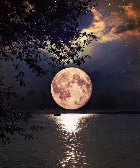 Full Moon Bella Luna Paesaggi Natura