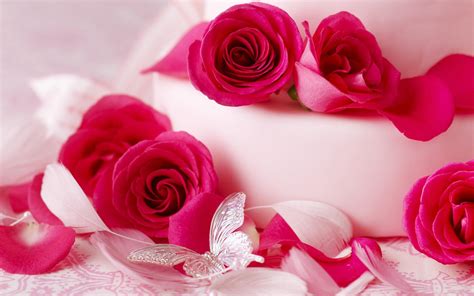 ❤ get the best pink rose flower wallpaper on wallpaperset. صور ورود جميله رومانسيه خلفيات ورورد رومانسيه - مجتمع رجيم