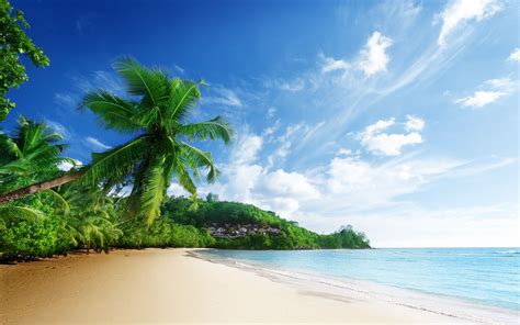 Tropical Beach Scenes Wallpapers Top Free Tropical Beach