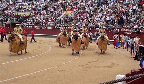 Empieza La Temporada Taurina En Colombia Kienyke