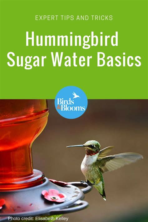 Hope this helps and enjoy watching these little loves! Hummingbird Sugar Water 101: Attract more hummingbirds to ...