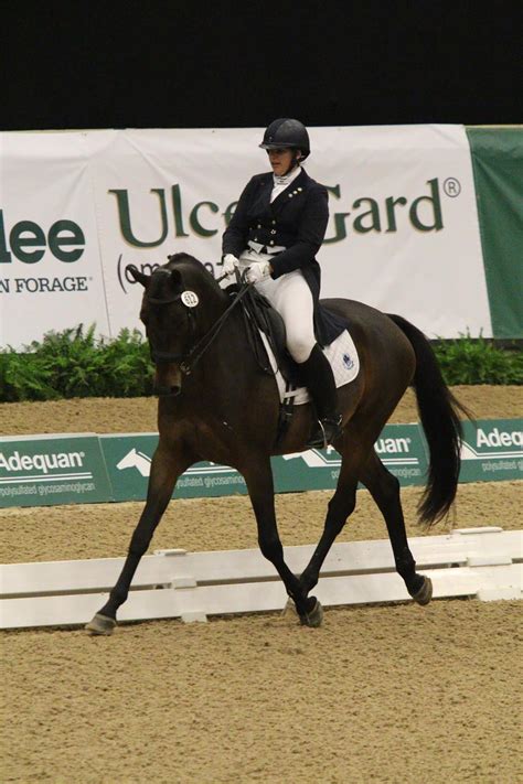 Us Dressage Finals Presented By Adequan Set To Begin At The Kentucky