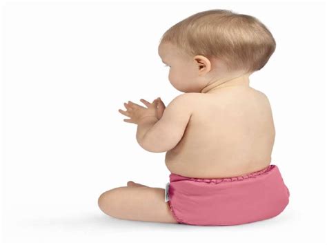 The Flip Diaper System Is A Flexible