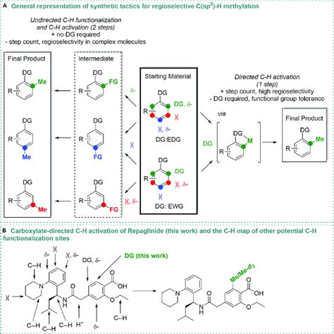 Approaches and opportunities in C sp 2 ÀH functionalization A
