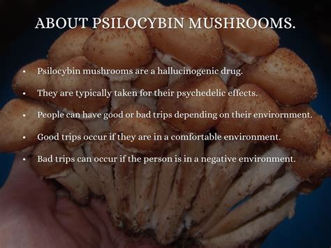 Psilocybin Mushrooms By Tyler Durham
