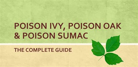 The Complete Guide Poison Ivy Poison Oak And Poison Sumac Relicrecord