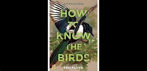 10000 Birds How To Know The Birds The Art And Adventure Of Birding