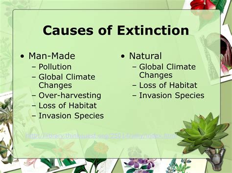 Ppt Extinction And Adaptation Powerpoint Presentation Free Download