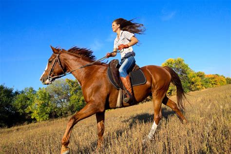 Horse Riding For Beginners 10 Tips To Stay Safe And Have Fun Animals