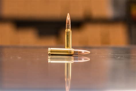 308 Winchester 190gr Subsonic Load Target Discreet Ballistics