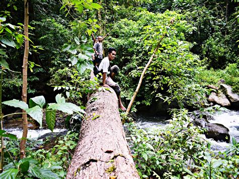 Proposal Pengelolaan Hutan Sebagai Tempat Wisata Proposal Pengelolaan