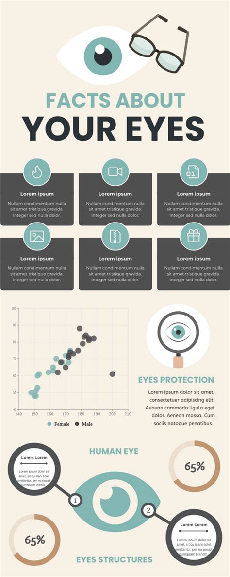 7 Amazing Facts About Your Eyes Infographic Visualist