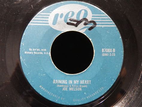 Joe Melson Raining In My Heart 1963 Vinyl Discogs
