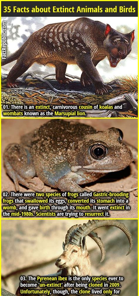 35 Interesting Facts About Extinct Animals And Birds Fact Republic