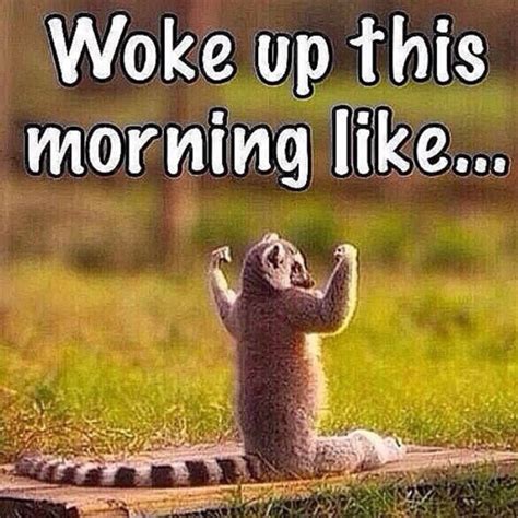 Via Frametastic Workout Memes Workout Humor Good Morning Wishes