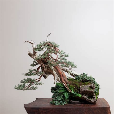 The Art Of Japanese Bonsai Trees Craftsmanship Magazine