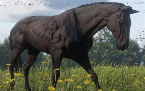 Where To Find The Best Horse In Red Dead Redemption 2 Allgamers
