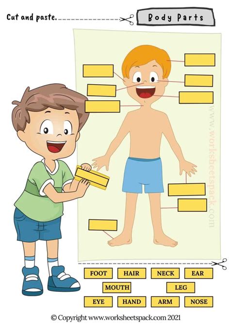 Body Parts Activities For Preschoolers Worksheetspack