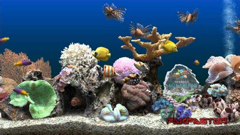 Animated Aquarium Desktop Wallpaper Windows Usmc Wallpapers And
