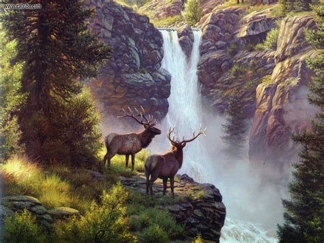 10 Beautiful Nature Animals Wallpaper Hd Basty Wallpaper