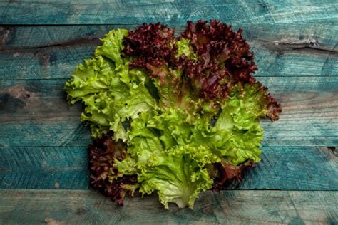 Gambar sayuran beserta namanya dalam bahasa inggris. Segar dan Sehat, 7 Jenis Daun Ini Sering Disajikan Sebagai ...