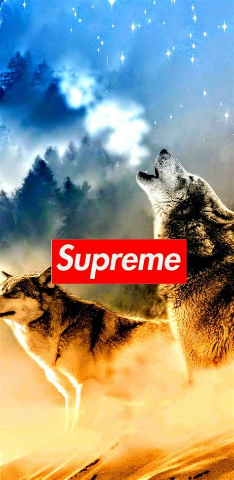 Dogs Supreme Wallpapers Wallpaper Cave