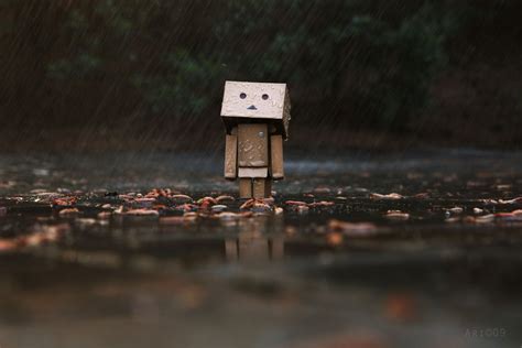 Sad Box Boy In The Rain Hd Wallpaper ~ The Wallpaper Database