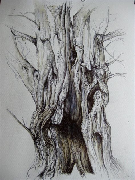 Biro Enchanted Tree Tree Sketches Tree Drawing Tree Drawings Pencil