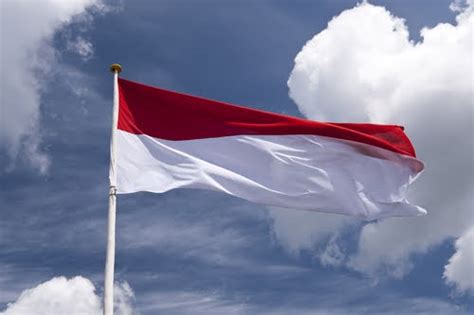 We did not find results for: Kontroversi Pengibar Sang Saka Merah Putih Tahun 1945 ...