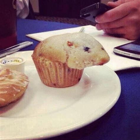 A Muffin That Looks Like A Hamster Meme Guy