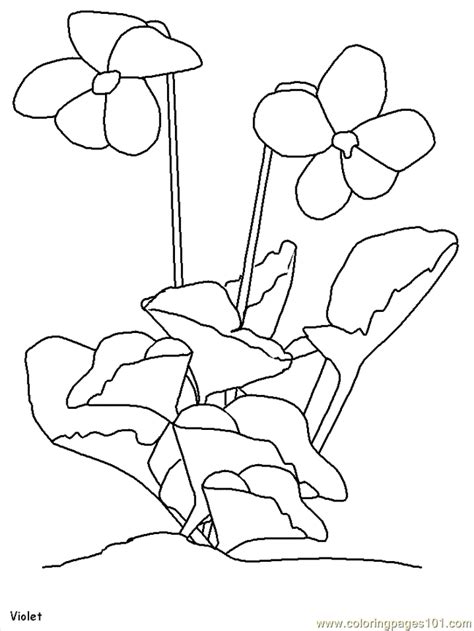 Check out ljubicica's art on deviantart. Realistic Flowers Coloring Page - Free Realistic Flowers ...