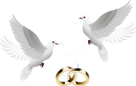 Wedding Doves Tattoo Wedding Rings Wedding