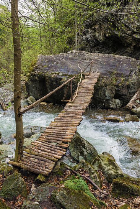 Old Wooden Bridge Over A River In The Forest Stock Photo Image Of